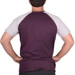 REMERA-HOMBRE-CONVERSE-RANGLAN