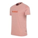 REMERA-HOMBRE-HANG-LOUSE-HAWAII