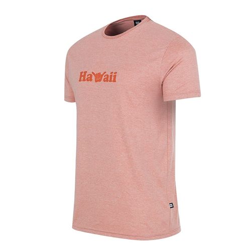 REMERA HOMBRE HANG LOUSE HAWAII
