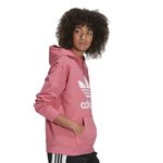 BUZO-MUJER-ADIDAS-TRF-HOODIE--ROSTON
