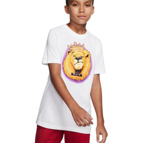 REMERA NIÑO NIKE LEBRON JAMES LION