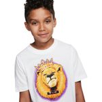 REMERA-NIÑO-NIKE-LEBRON-JAMES-LION