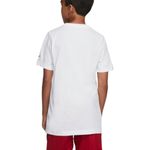 REMERA-NIÑO-NIKE-LEBRON-JAMES-LION