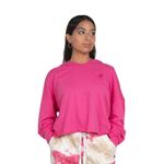 CM-ICHMW3270586PEA-044-S