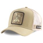 CA-CLLOO41COY1-UNICO